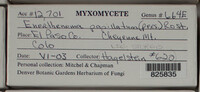 Image Associated With the Occurence